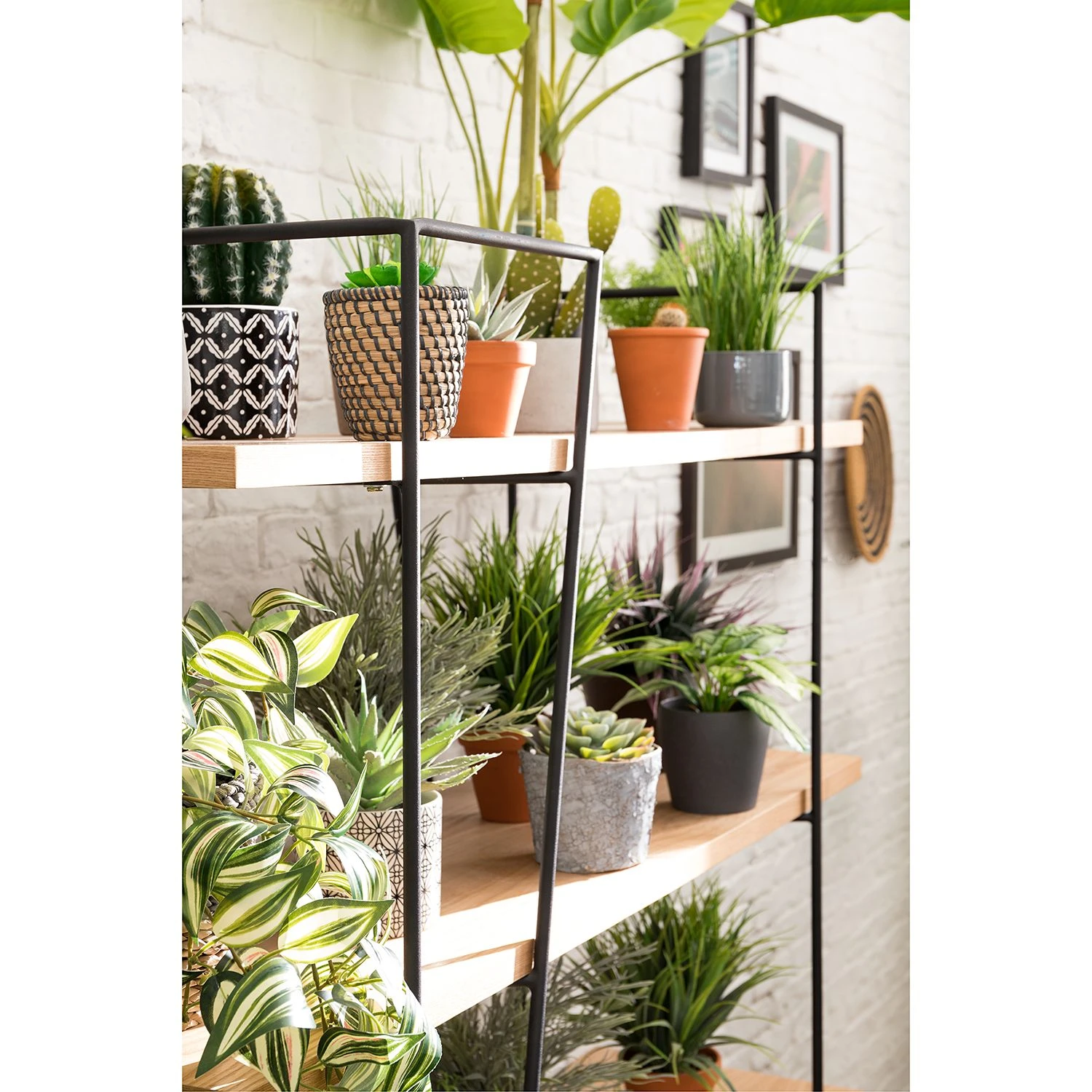 Studio Copenhagen Étagère Anadyr - Noir / Frêne – Image 6